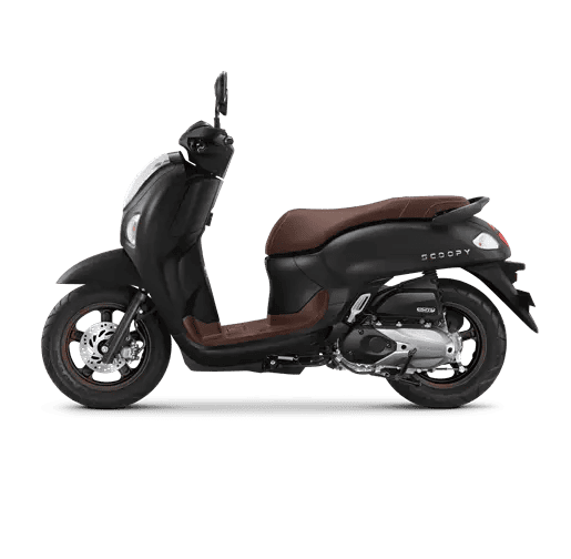 Prestige Black